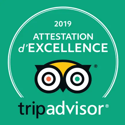TripAdvisor Just Art! Paris 2019 Certificate of Excellence!